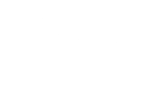 Nocturne 